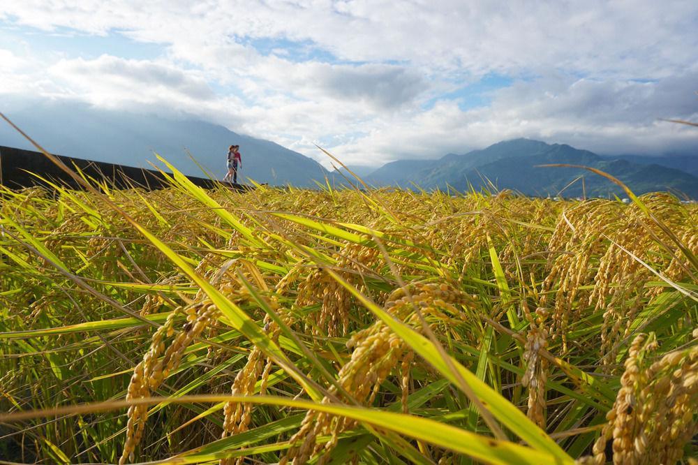 Snail Trail B&B Taitung Ngoại thất bức ảnh